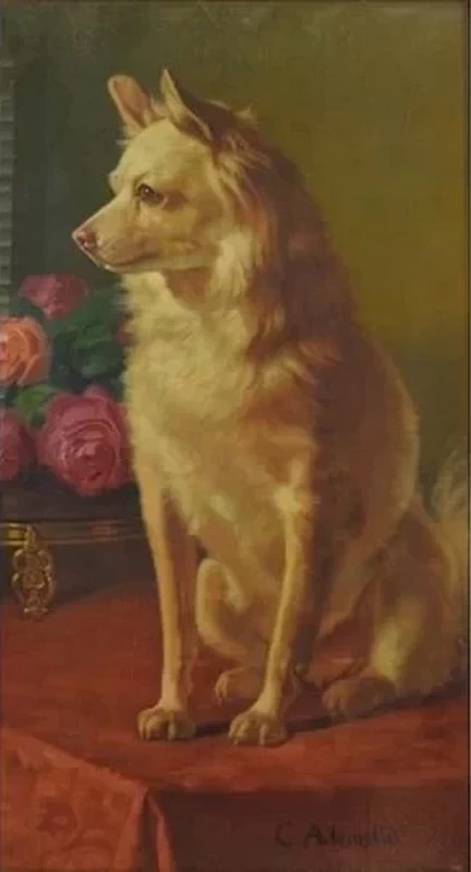 Ritratto di volpino